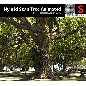 3D Tree Animated HD model